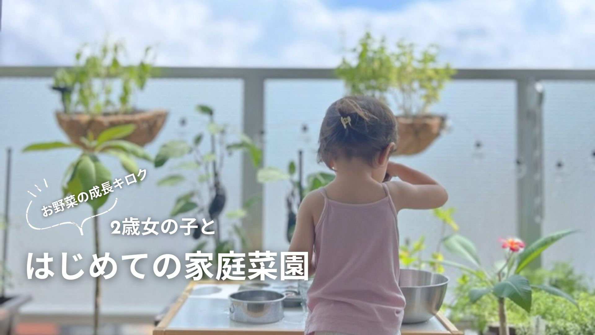 2歳児と一緒に初めての家庭菜園！初心者がプランターで育てるお野菜4